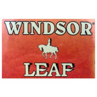Windsor Leaf