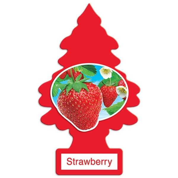 TREE SINGLE FRESH 24CT STRAWBERRY