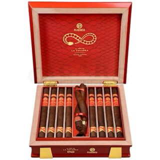 PLASENCIA YEAR OF THE SNAKE 8CT