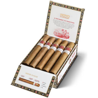 HOYO de MONTERREY SHADE GIGANTE 10CT