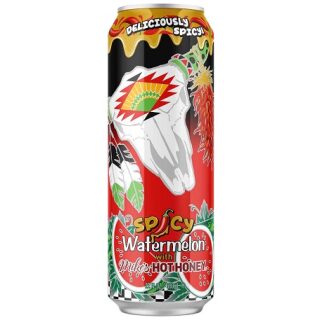ARIZONA SPICY WATERMELON 24CT
