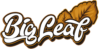 BIG LEAF 1/.89¢ LA SWIRL 20CT